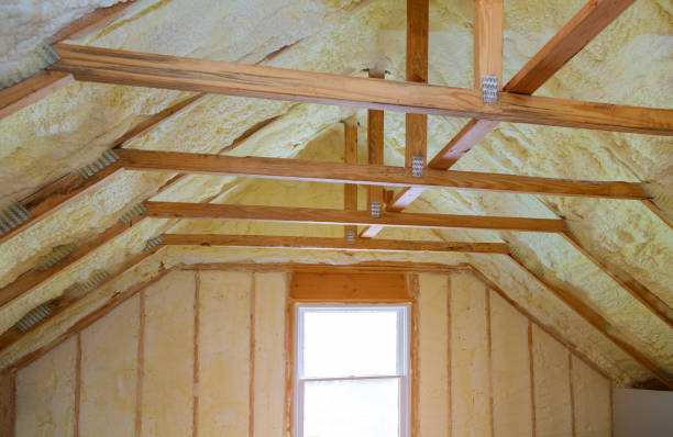 Best Insulation Replacement Services  in Loyal, WI