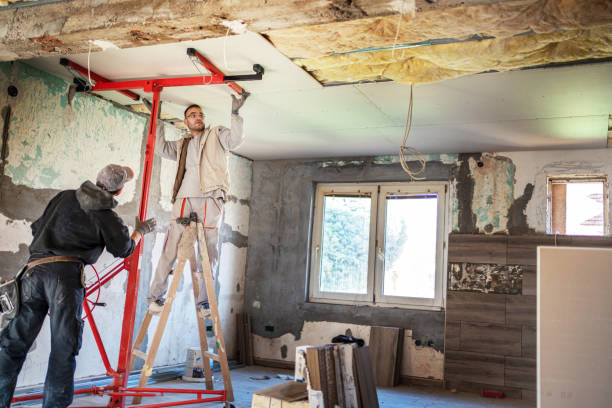 Best Local Insulation Services  in Loyal, WI