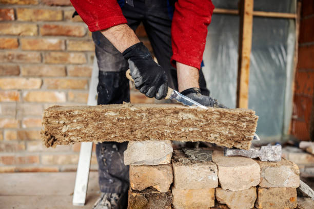 Best Commercial Insulation Contractor  in Loyal, WI