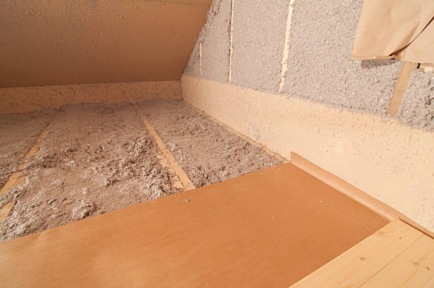 Best Insulation Removal  in Loyal, WI